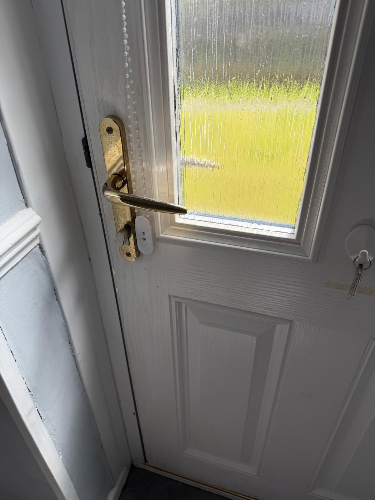 Brass lever handle and replacement euro cylinder on a uPVC back door